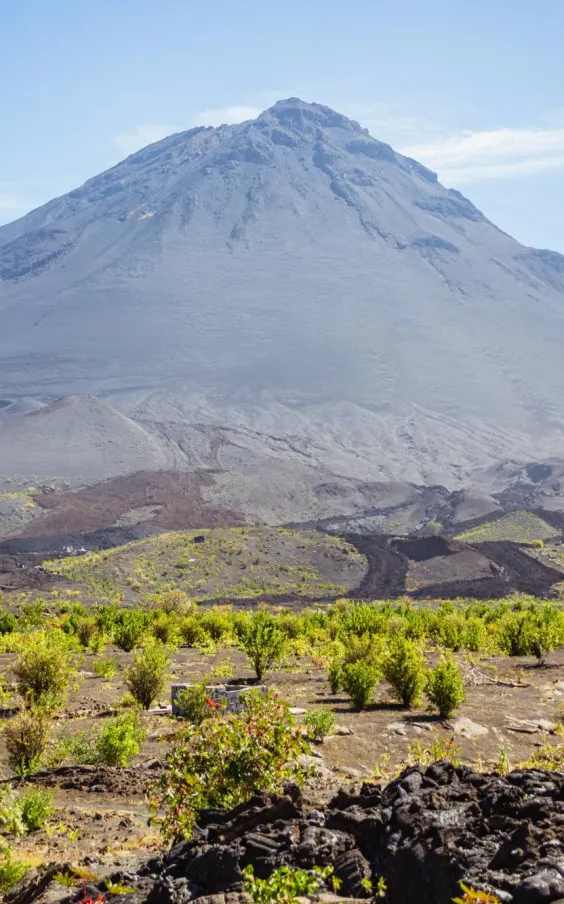 Farms in the crater of Chã das Caldeiras