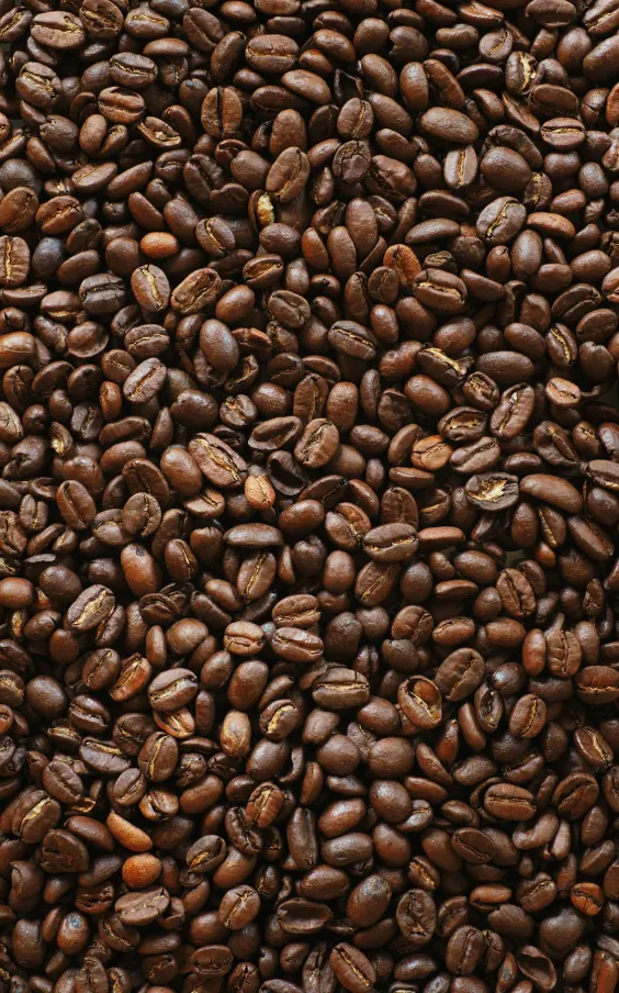 Roasted coffee beans
