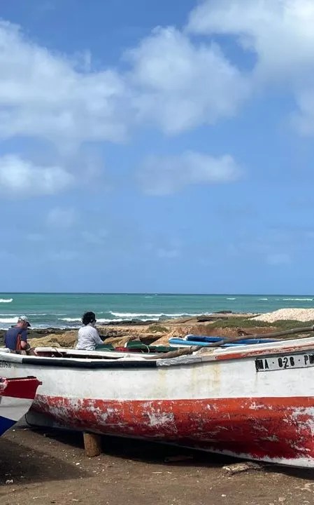 Painted fishing boats on the shore