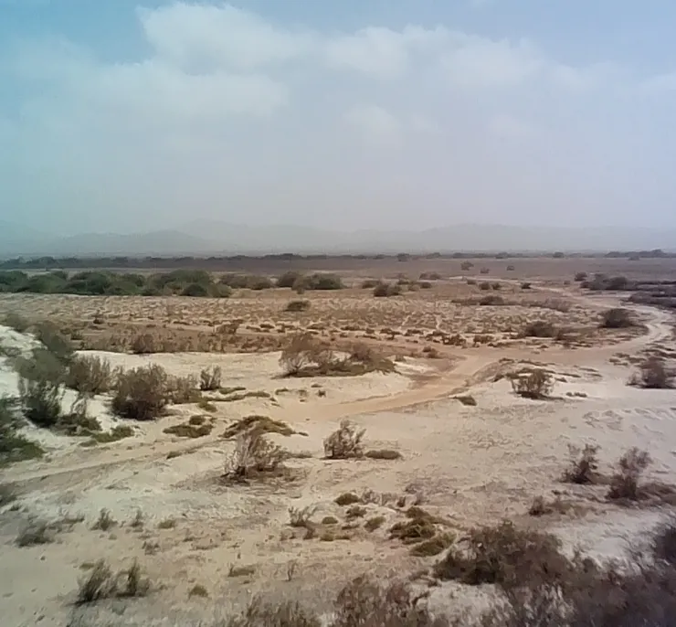 Wilderness near Morrinho village, Maio Island